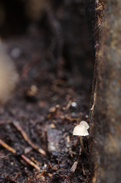 _IGP8999_DxO.jpg _IGP8999_DxO.jpg