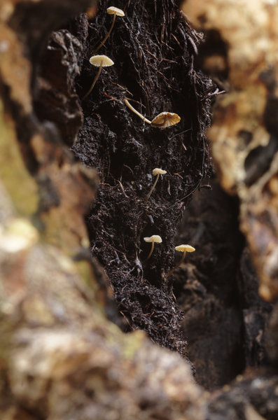 _IGP9002_DxO.jpg _IGP9002_DxO.jpg