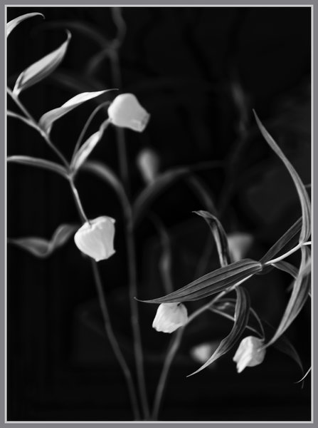 _small__IGP4064_3_DxO.JPG
