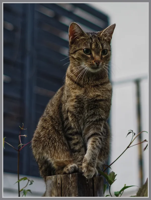 _small__IMG1189_2_DxO.webp