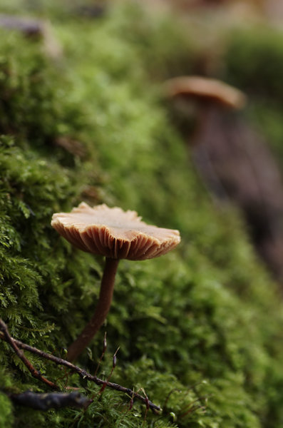 _IGP9006_DxO.jpg _IGP9006_DxO.jpg