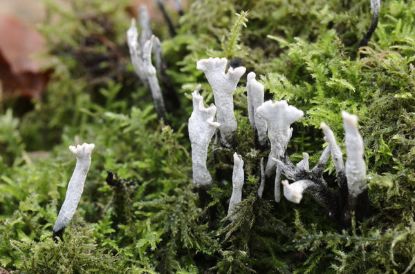 _IGP9012_DxO.jpg _IGP9012_DxO.jpg