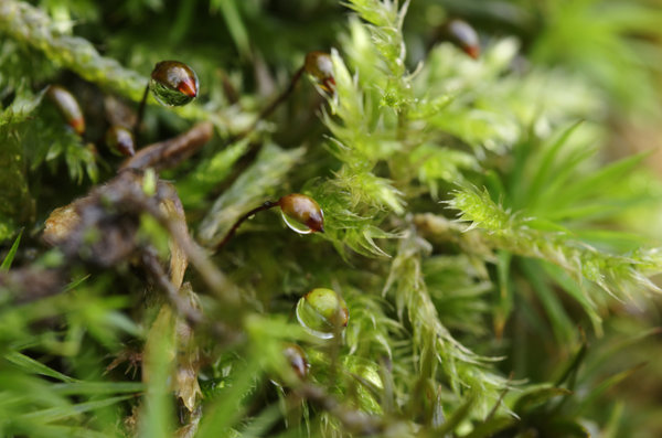 _IGP9017_DxO.jpg _IGP9017_DxO.jpg