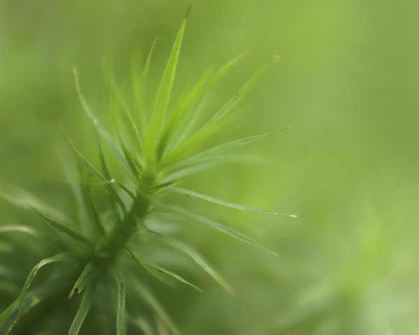 _IGP9019_DxO.jpg _IGP9019_DxO.jpg