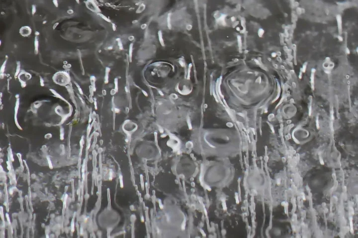 EisblumenaufWASSEREXTRMCROPSL2C180HIKO_720x479.jpg