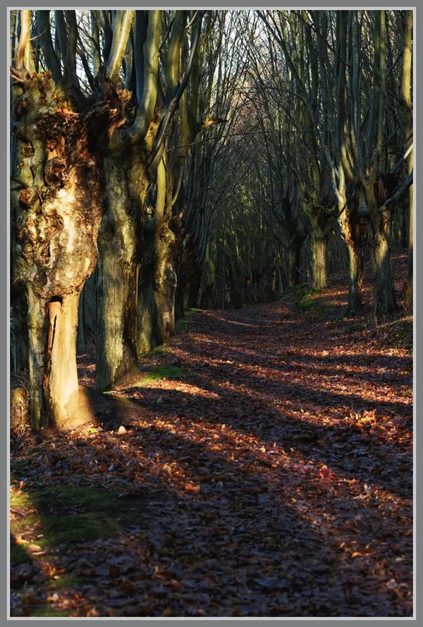 _small__IMG1510_2_DxO.webp _small__IMG1510_2_DxO.webp