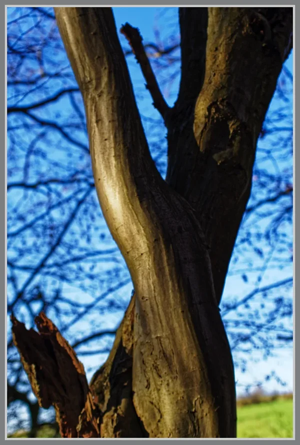 _small__IMG1516_2_DxO.webp _small__IMG1516_2_DxO.webp