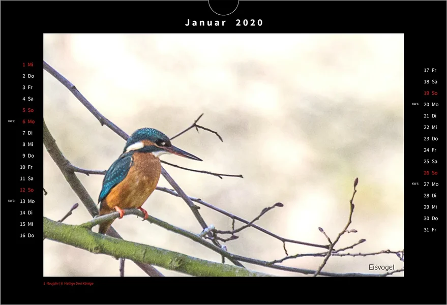 01-2 Januar.webp