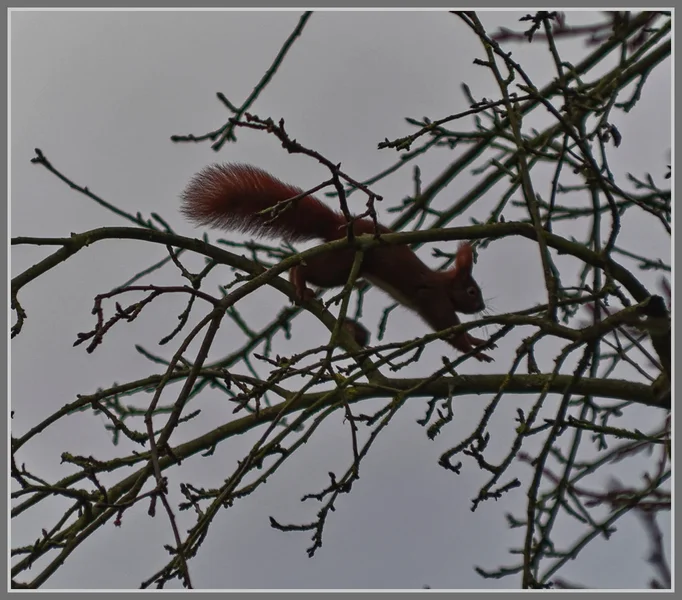 _small__IMG1619_2_DxO.webp