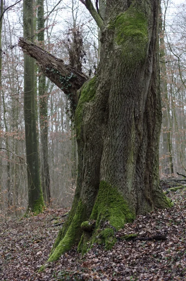 _IGP9128_DxO.webp _IGP9128_DxO.webp