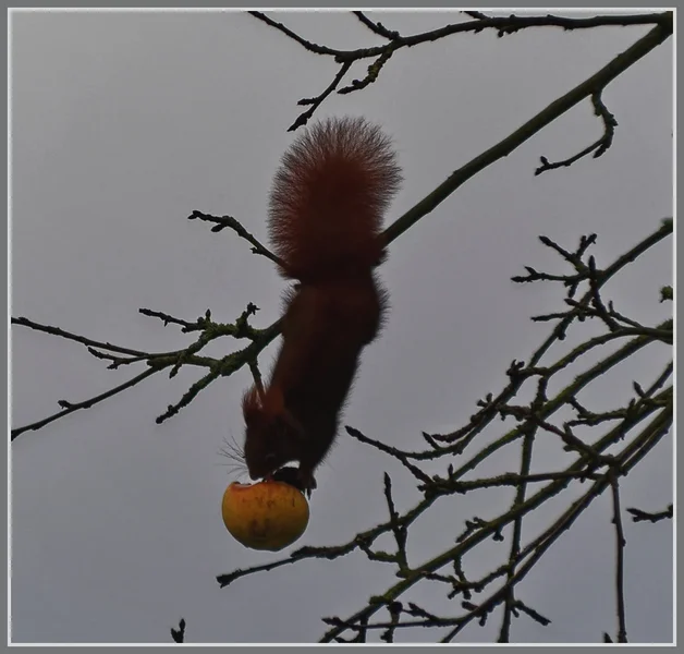 _small__IMG1617_2_DxO.webp