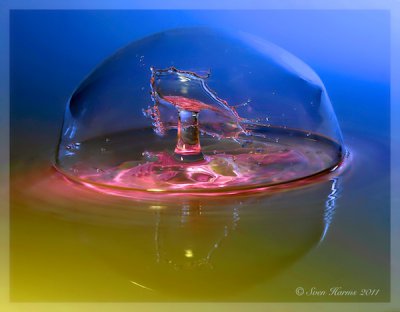 IMG_0365 (1).jpg