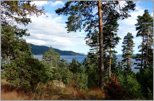 0224 Telemark Fjord N.JPG