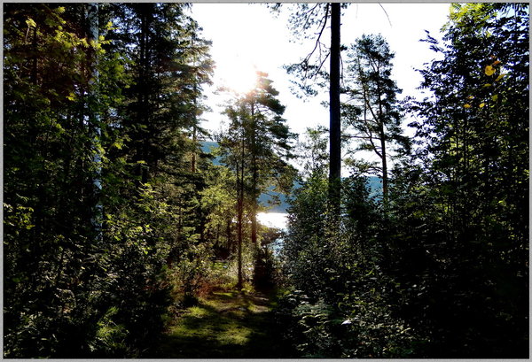 0241 Telemark Fjord N.JPG