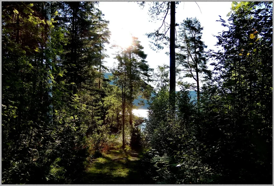 0241 Telemark Fjord N.webp