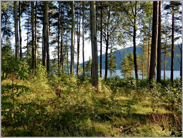 0243 Telemark Fjord N.JPG