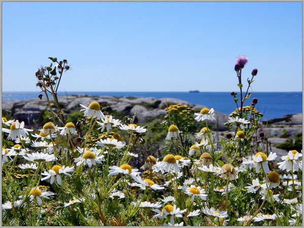 0279 Verdens Ende Tjome N.JPG