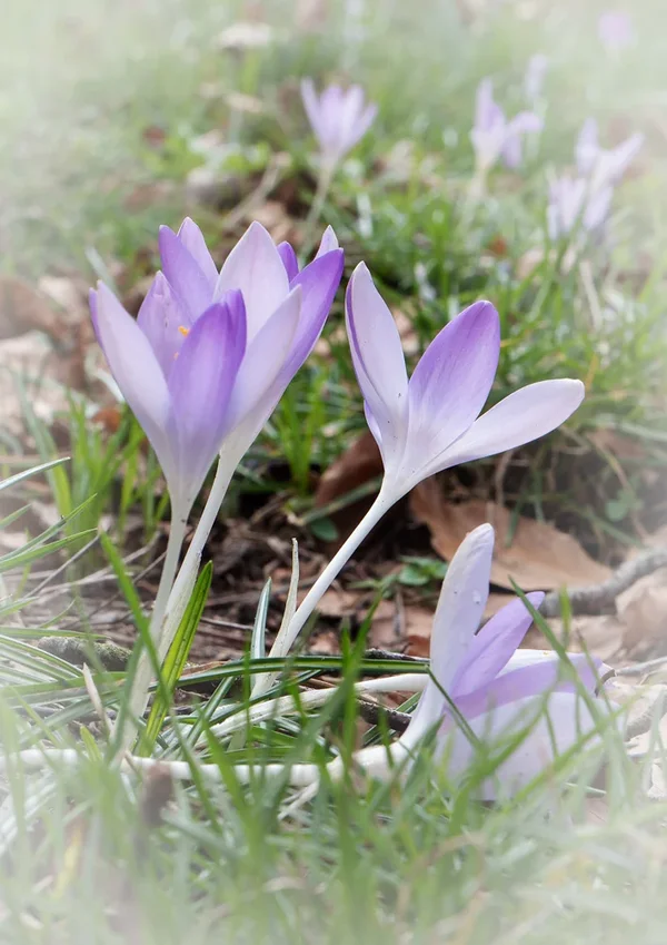 ci_02_PG9_7964.webp