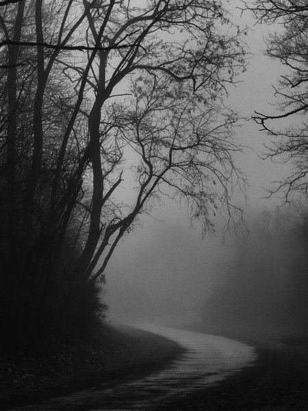 ci_PG9_3502_sw.jpg