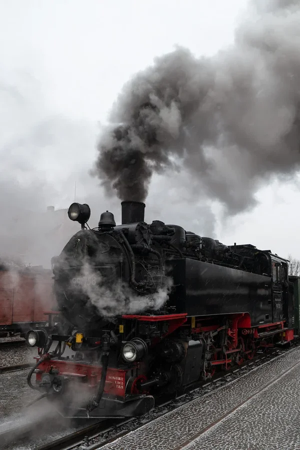 ci_SAM_5830.webp
