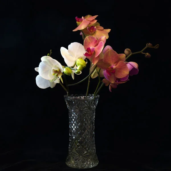 OrchiddeninGlasvasaufSchwarzeSL22490FINQUADRAT.webp