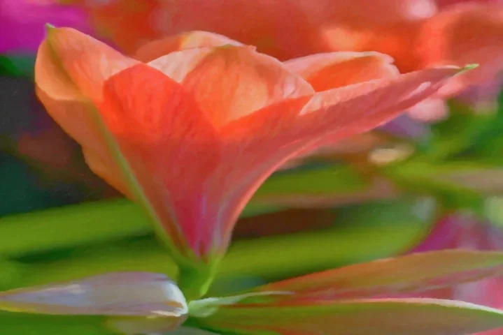 RoteTrompeteSL2CMac100mmFANTASGEDREHTNEUBERENDVERSIONASAIMPLANDSCFINBR_719x480.webp