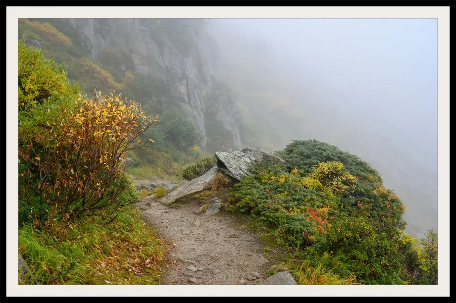 Nebel.webp
