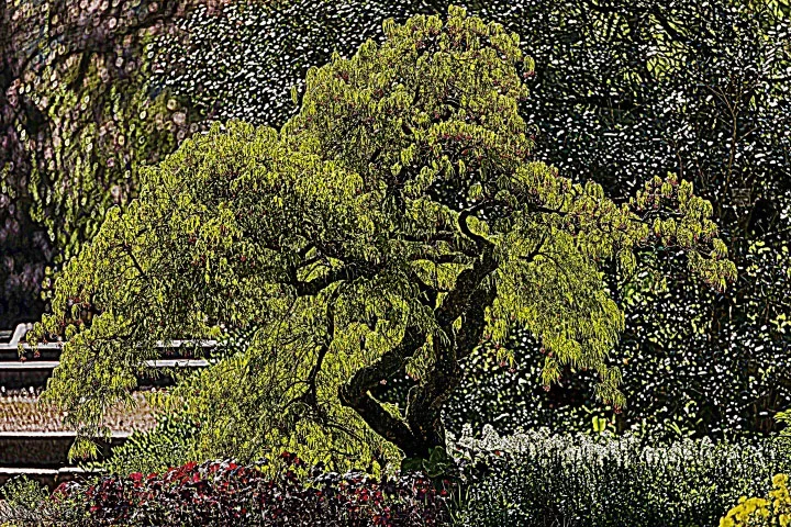 BigBonsaiSL90280FINFINFINTMPKUNSTEXTREMSCARFMRADHOCHFINDENOISE_720x480.webp