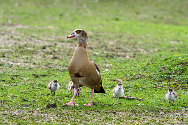 Beller Mühle 2020_040.jpg Beller Mühle 2020_040.jpg