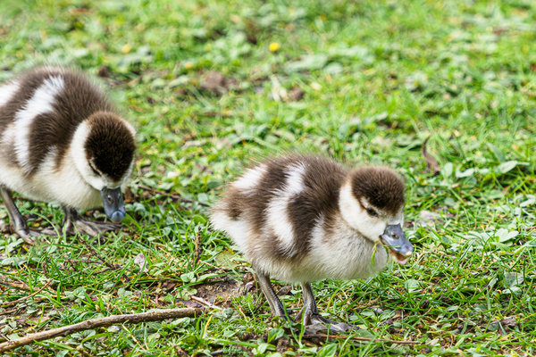 Beller Mühle 2020_057.jpg Beller Mühle 2020_057.jpg