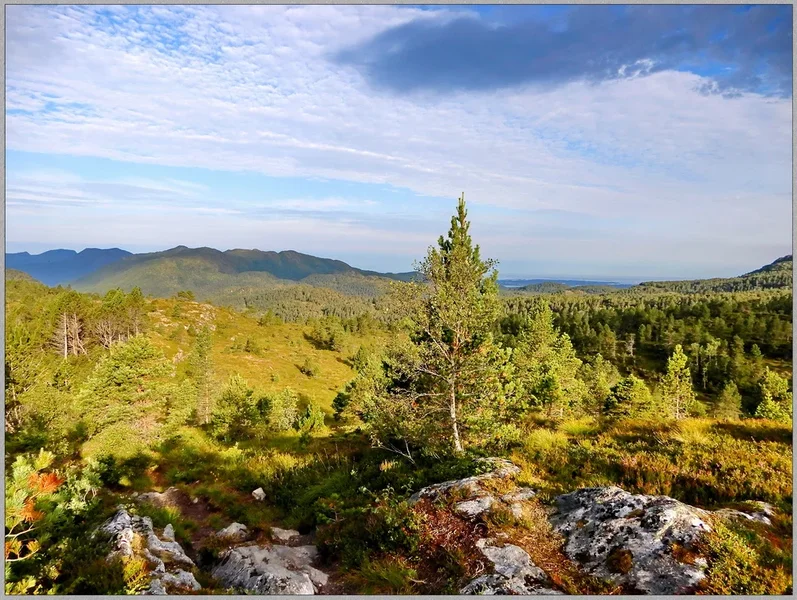0600 Molde N.webp