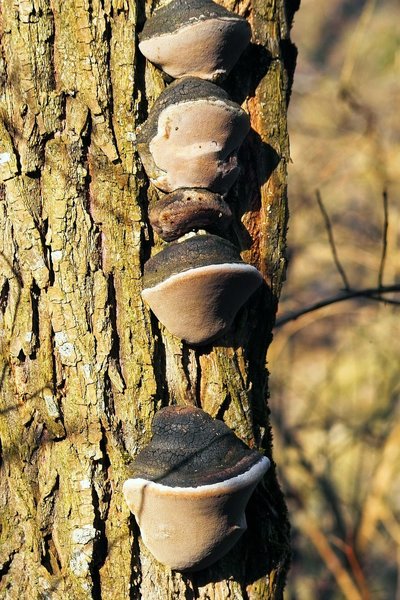 IMG07789-c.jpg