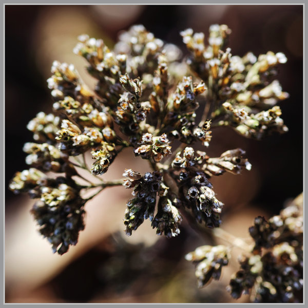 _small__IMG1682_1_DxO.JPG