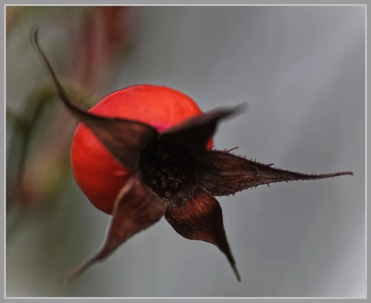 _small__IMG1688_1_DxO.webp