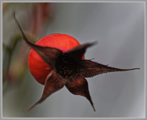 _small__IMG1688_1_DxO.JPG