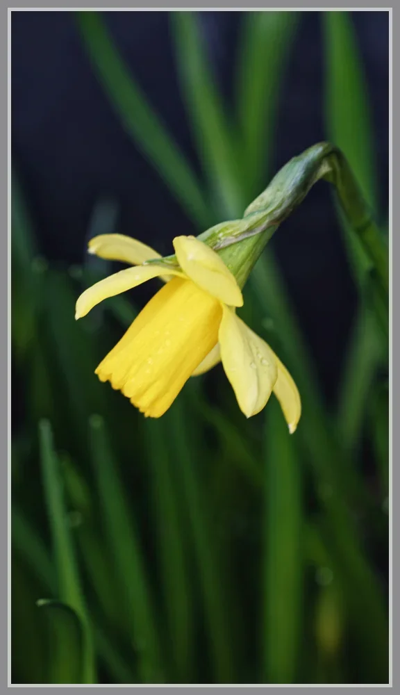 _small__IMG1697_1_DxO.webp