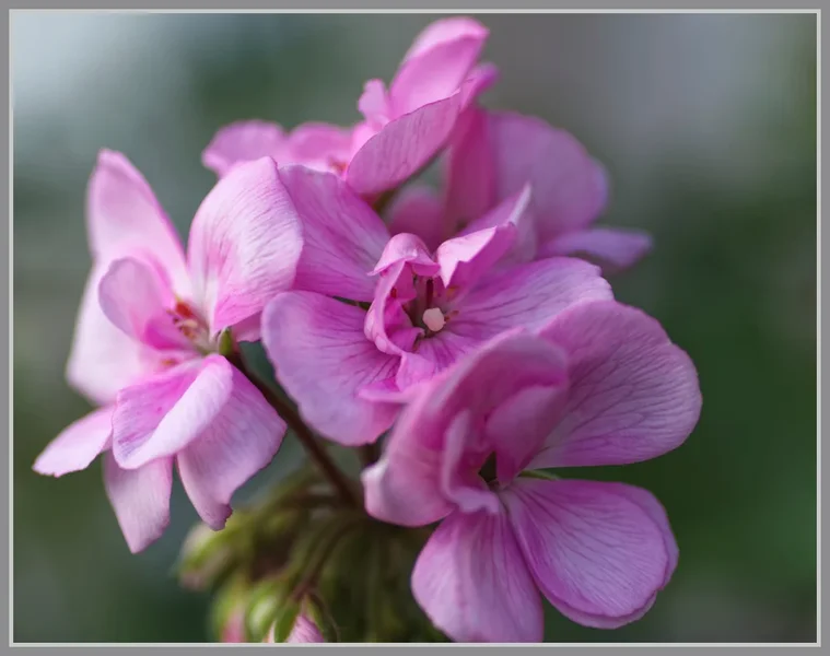 _small__IMG1699_1_DxO.webp
