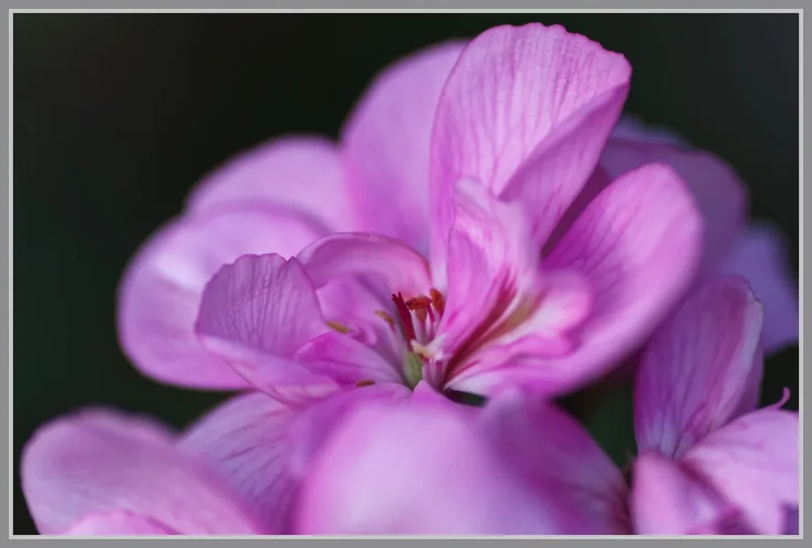 _small__IMG1701_1_DxO.webp