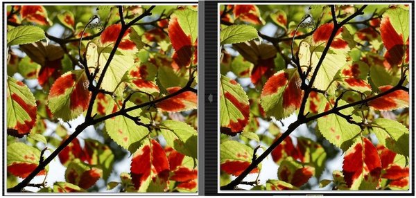 comp_vergleich4.jpg comp_vergleich4.jpg