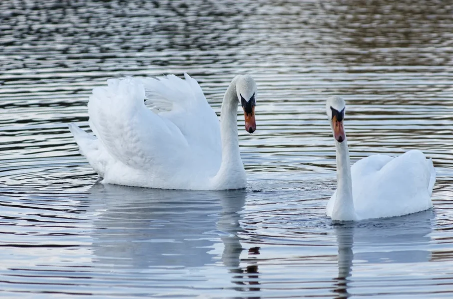 _IGP9425_DxO.webp