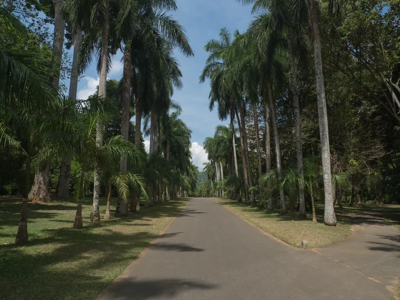 SL20fohaP2033565.webp