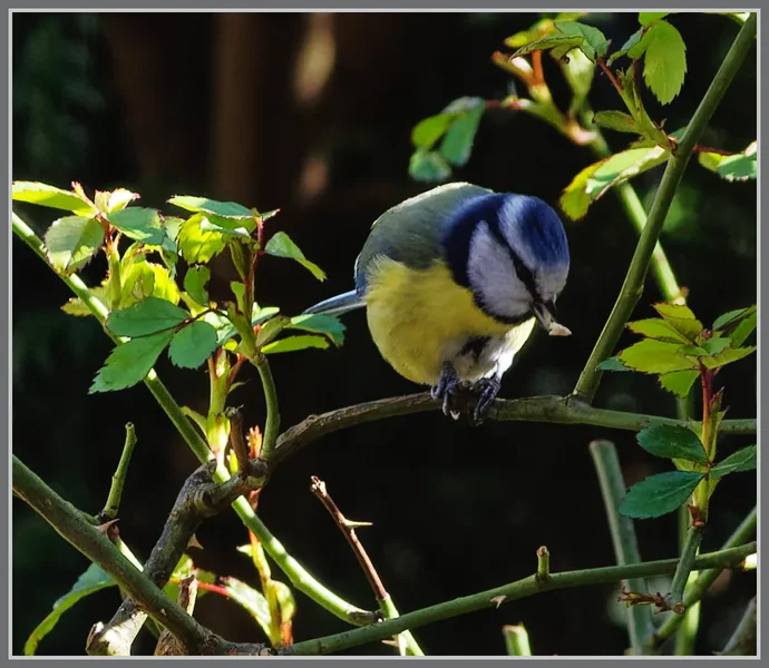 _small__IMG1750_1_DxO.webp