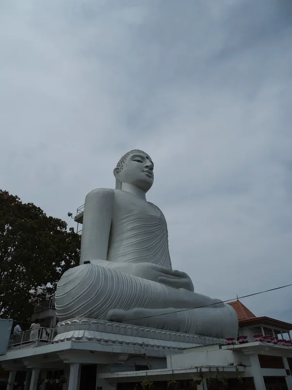 SL20fohaP2043659.webp