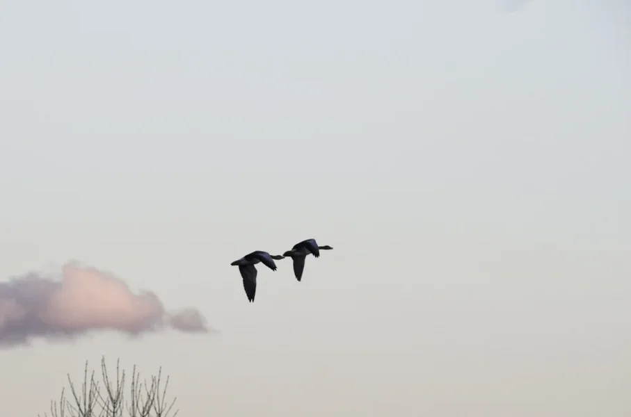_IGP9562_DxO.webp