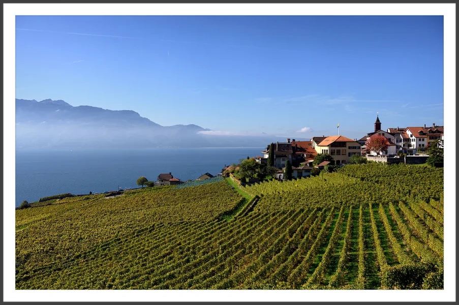 Laveaux Genfersee.webp