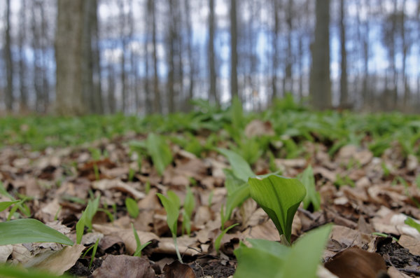 _IGP9585_DxO.jpg