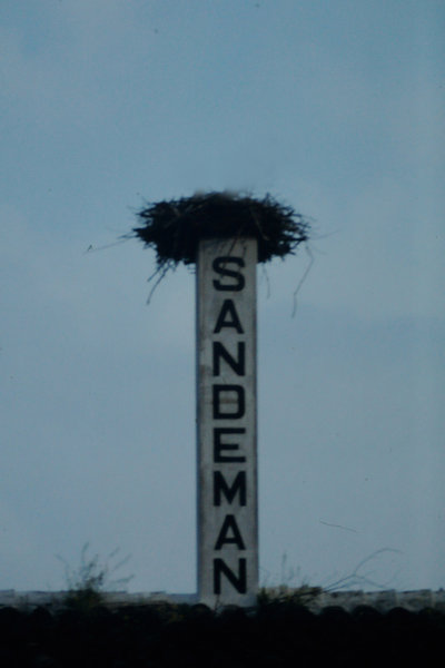SherryProbeSandemanKaminohneStorch.jpg