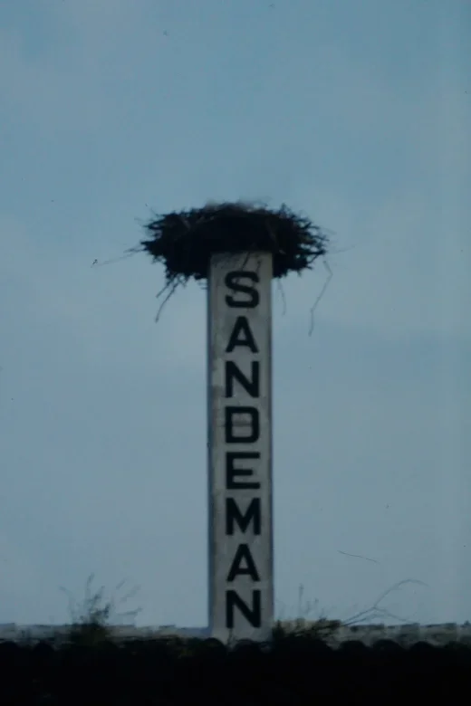 SherryProbeSandemanKaminohneStorch.webp
