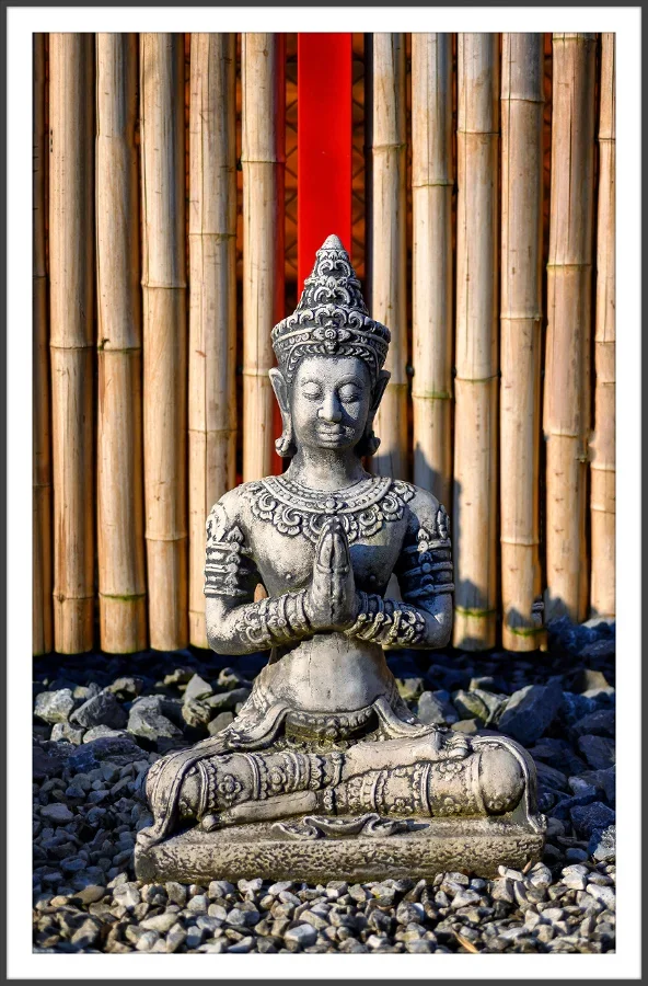Budhine-2.webp