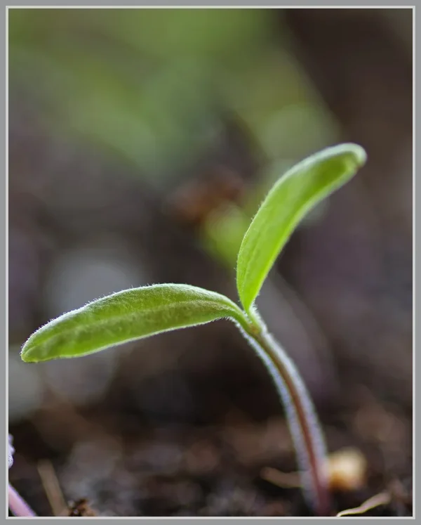 _small__IMG1821_DxO.webp